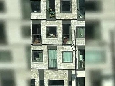 Un couple baise rideaux ouverts pendant le confinement