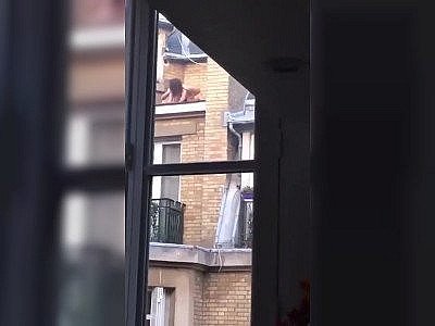 Des français baisent sur un toit pendant le confinement