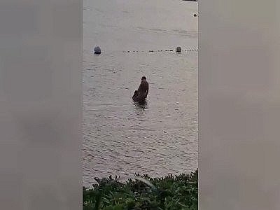 Comment bien admirer un coucher de soleil (Ibiza)