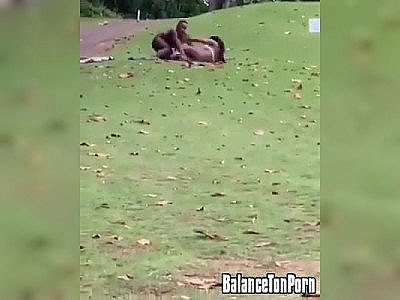 Surpris en train de baiser sur un parcours de golf