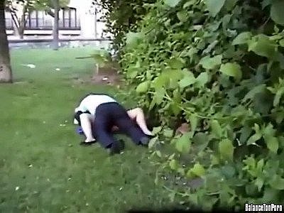 Ils baisent dans le jardin pendant un mariage