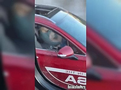 Elle se gode au volant sur l'autoroute