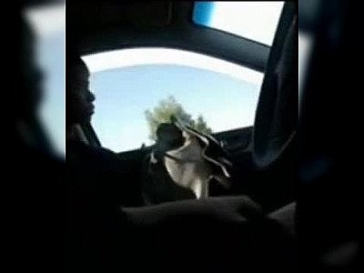 Il prend une fille en stop et sort sa bite